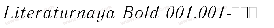 Literaturnaya Bold 001.001字体转换
